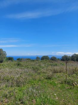 Land plot 550 sqm for sale