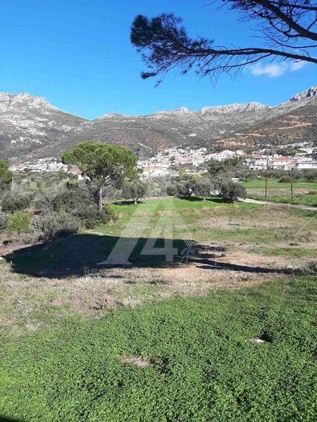 Οικόπεδο 2.029 τ.μ. προς πώληση, Άγιος Νικόλαος Βοιών