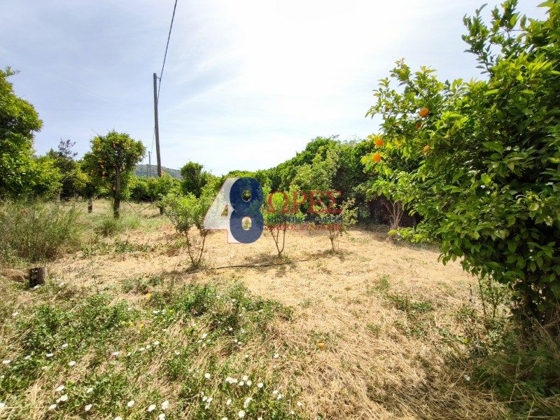 Οικόπεδο 5.185 τ.μ. προς πώληση, Καμποχώρια