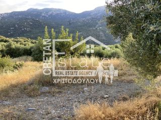 Αγροτεμάχια 6.500 τ.μ. προς πώληση, Μάλες-thumb-5