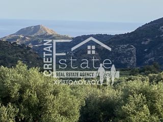 Αγροτεμάχια 6.500 τ.μ. προς πώληση, Μάλες-thumb-8