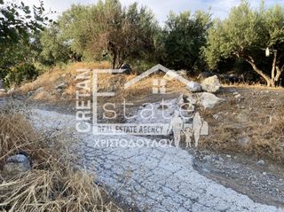 Αγροτεμάχια 6.500 τ.μ. προς πώληση, Μάλες-thumb-23