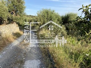 Αγροτεμάχια 6.500 τ.μ. προς πώληση, Μάλες-thumb-22