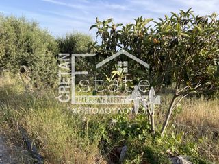 Αγροτεμάχια 6.500 τ.μ. προς πώληση, Μάλες-thumb-4