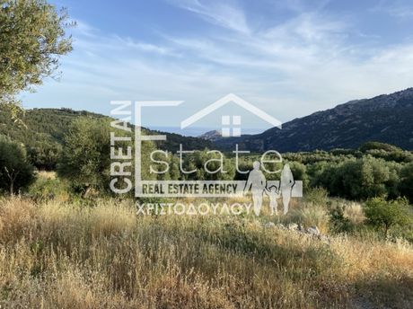 Αγροτεμάχια 6.500τ.μ. για πώληση-Ιεράπετρα » Μάλες