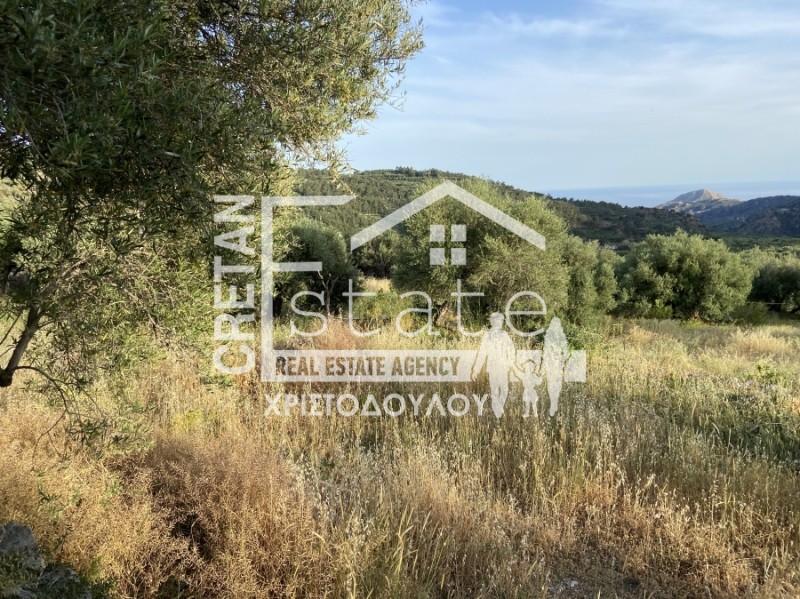 Αγροτεμάχια 6.500 τ.μ. προς πώληση, Μάλες
