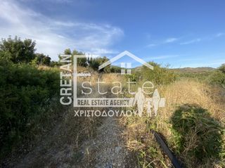 Αγροτεμάχια 6.500 τ.μ. προς πώληση, Μάλες-thumb-11
