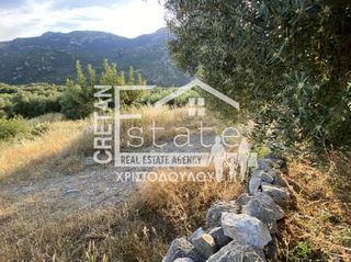 Αγροτεμάχια 6.500 τ.μ. προς πώληση, Μάλες-thumb-9