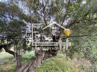 Αγροτεμάχια 6.500 τ.μ. προς πώληση, Μάλες-thumb-20