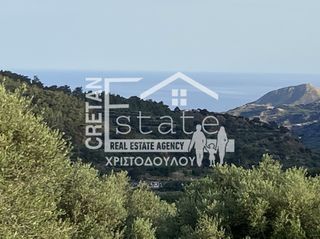 Αγροτεμάχια 6.500 τ.μ. προς πώληση, Μάλες-thumb-7