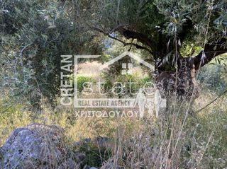 Αγροτεμάχια 6.500 τ.μ. προς πώληση, Μάλες-thumb-3