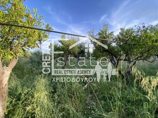 Αγροτεμάχια 6.500 τ.μ. προς πώληση, Μάλες-thumb-18