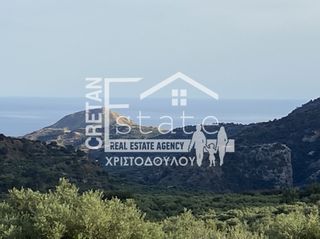 Αγροτεμάχια 6.500 τ.μ. προς πώληση, Μάλες-thumb-6
