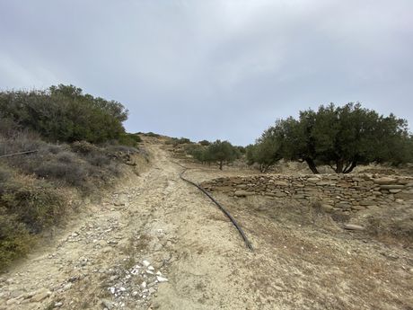 Αγροτεμάχια 3.670τ.μ. για πώληση-Ιεράπετρα » Βαϊνιά