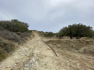 Αγροτεμάχια 3.670 τ.μ. για πώληση