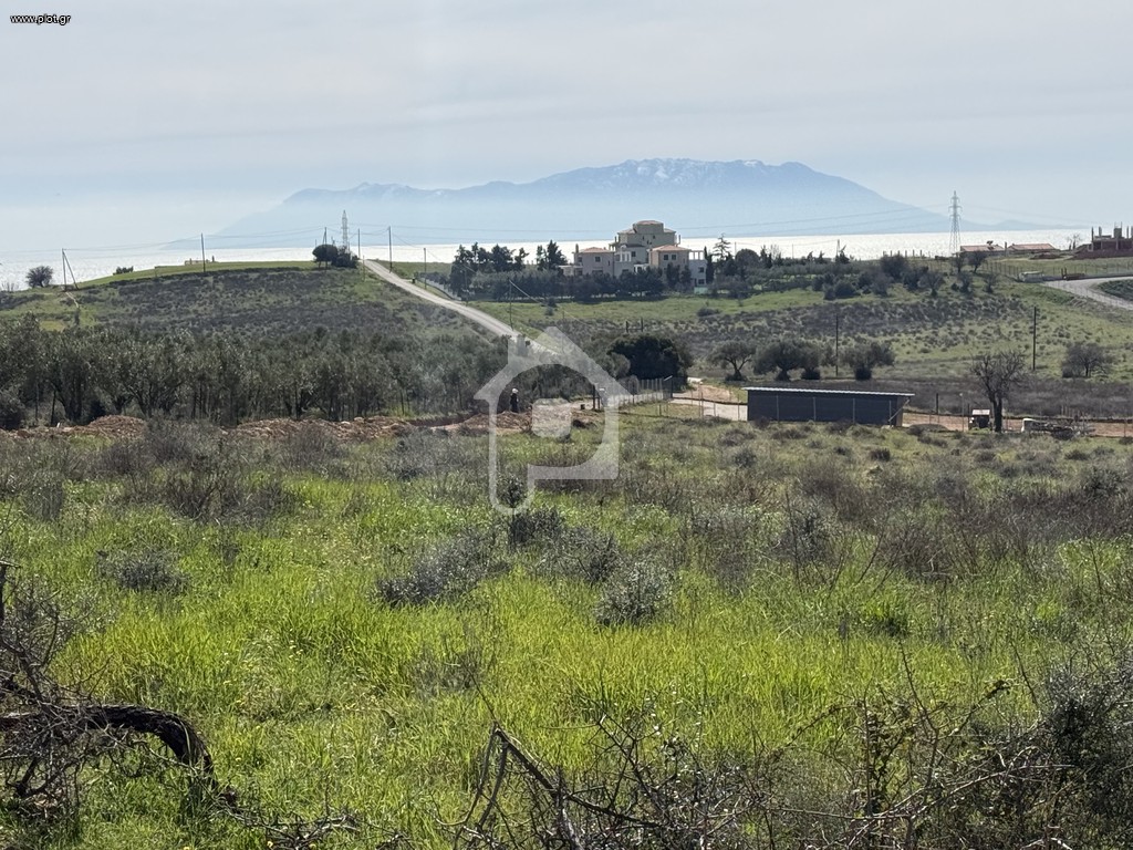 Αγροτεμάχια 7.000 τ.μ. πρός πώληση, Εβρος, Αλεξανδρούπολη
