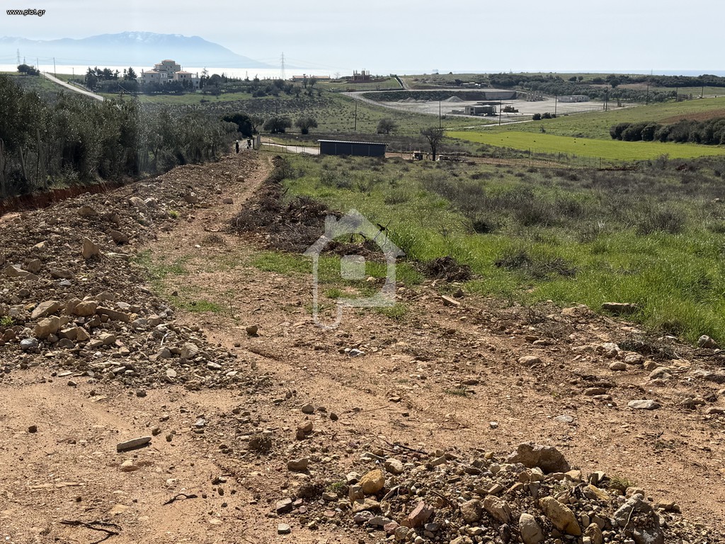 Αγροτεμάχια 7.000 τ.μ. πρός πώληση, Εβρος, Αλεξανδρούπολη