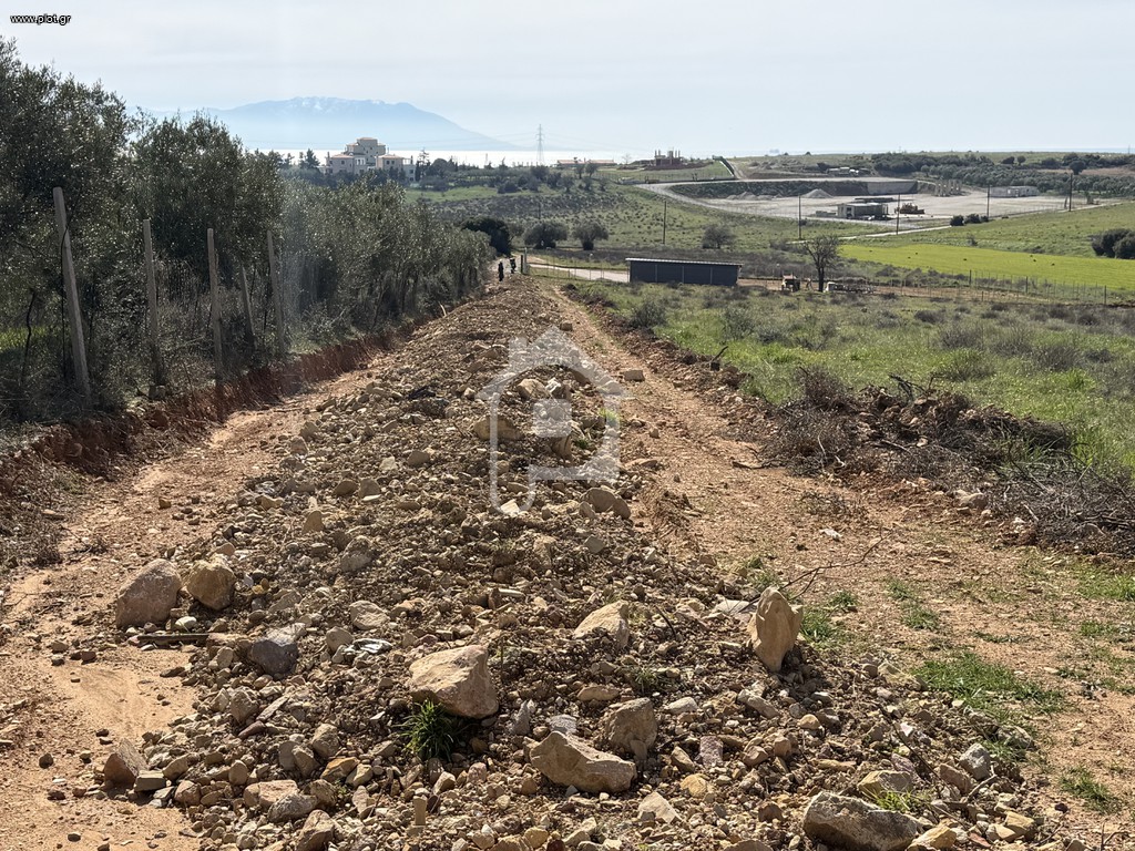 Αγροτεμάχια 7.000 τ.μ. πρός πώληση, Εβρος, Αλεξανδρούπολη