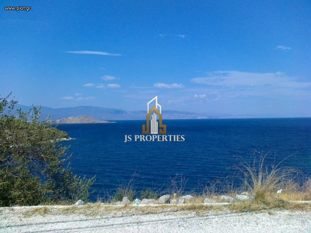 Οικόπεδο 675 τ.μ. προς πώληση, Πευκάλι