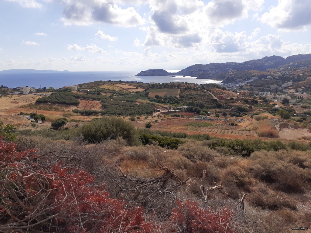 Οικόπεδο 6.500 τ.μ. προς πώληση, Αγία Πελαγία Γαζίου