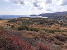 Οικόπεδο 6.500τ.μ. για πώληση-Γάζι » Αγία πελαγία