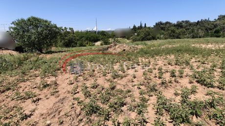 Αγροτεμάχια 5.808τ.μ. για πώληση-Πυλαία » Πουρνάρι