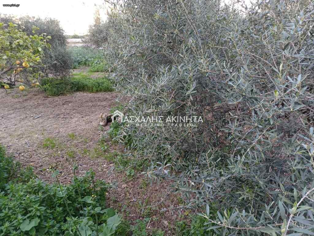 Οικόπεδο 724 τ.μ. προς ενοικίαση, Ν. Ηρακλείου, Ηράκλειο Κρήτης