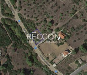 Οικόπεδο 800 τ.μ. προς πώληση, Δροσιά Μεσσαπίας-thumb-2