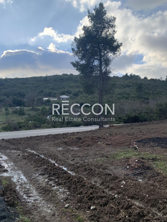 Οικόπεδο 800 τ.μ. προς πώληση, Δροσιά Μεσσαπίας