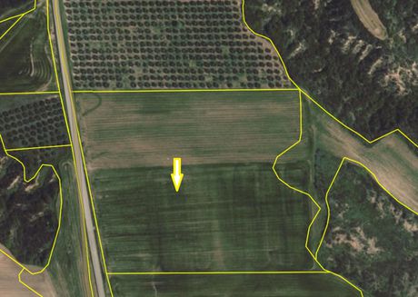 Parcel 35.000sqm for sale-Kallikrateia » Lakkoma