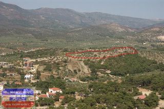 Αγροτεμάχια 18.400 τ.μ. πρός πώληση, Ν. Καβάλας, Θάσος-thumb-17