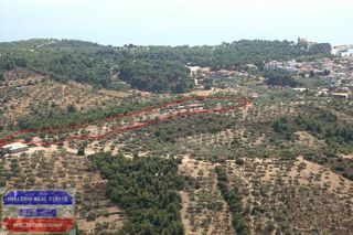 Αγροτεμάχια 18.400 τ.μ. πρός πώληση, Ν. Καβάλας, Θάσος-thumb-21
