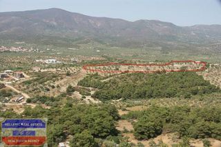 Αγροτεμάχια 18.400 τ.μ. πρός πώληση, Ν. Καβάλας, Θάσος-thumb-18