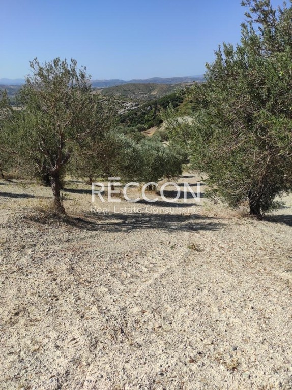 Αγροτεμάχια 8.500 τ.μ. προς πώληση, Οξύλιθος