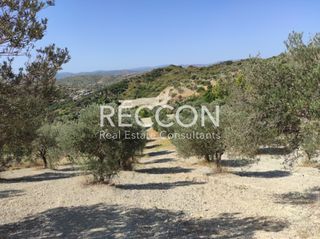 Αγροτεμάχια 8.500 τ.μ. για πώληση, Εύβοια, Κύμη-thumb-7