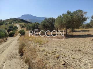 Αγροτεμάχια 8.500 τ.μ. για πώληση, Εύβοια, Κύμη-thumb-1