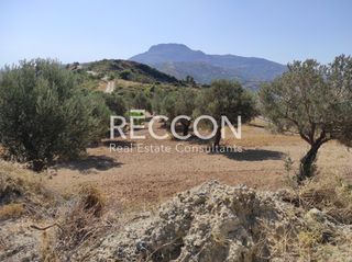 Αγροτεμάχια 8.500 τ.μ. για πώληση, Εύβοια, Κύμη-thumb-5