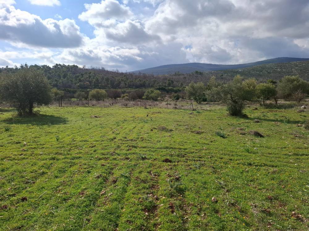 Αγροτεμάχια 4.613 τ.μ. πρός πώληση, Αττική - Υπόλοιπο, Βίλια