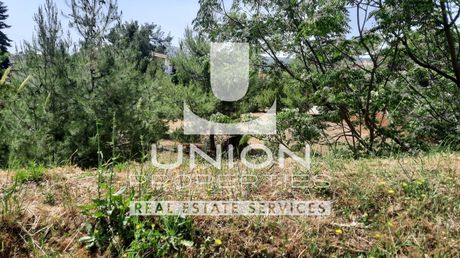 Land plot 1.755sqm for sale-Rodopoli