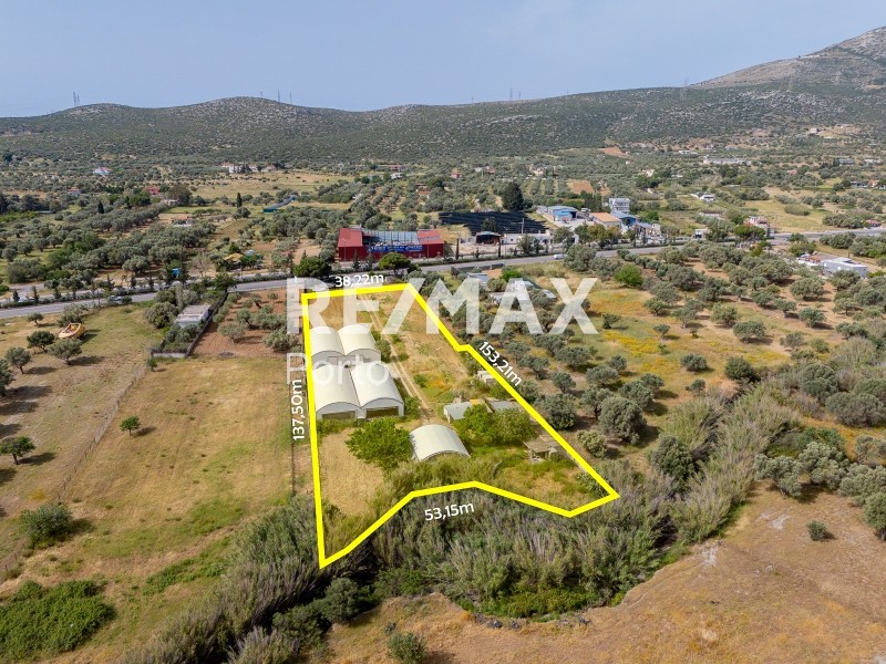Αγροτεμάχια 5.438 τ.μ. πρός ενοικίαση, Αττική - Υπόλοιπο, Κερατέα