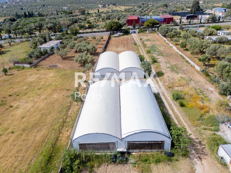 Αγροτεμάχια 5.438 τ.μ. πρός ενοικίαση, Αττική - Υπόλοιπο, Κερατέα