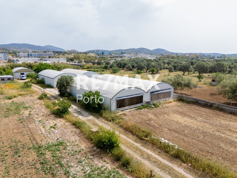 Αγροτεμάχια 5.438 τ.μ. πρός ενοικίαση, Αττική - Υπόλοιπο, Κερατέα