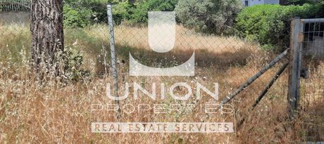 Land plot 701sqm for sale-Drosia