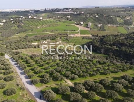 Αγροτεμάχια 5.000τ.μ. για πώληση-Γάζι » Άνω καλέσια