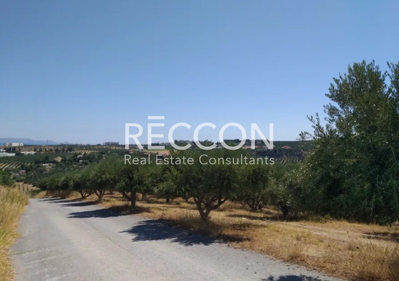 Αγροτεμάχια 5.000 τ.μ. πρός πώληση, Ν. Ηρακλείου, Γάζι