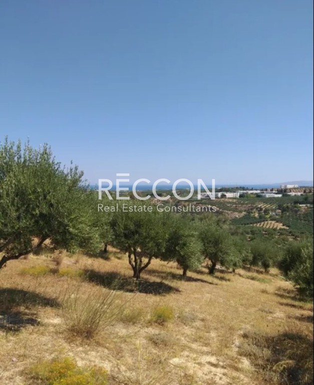 Αγροτεμάχια 5.000 τ.μ. πρός πώληση, Ν. Ηρακλείου, Γάζι