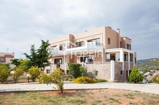 Μονοκατοικία 750 τ.μ. για ενοικίαση