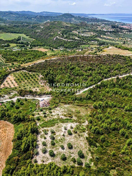 Αγροτεμάχια 4.440 τ.μ. προς πώληση, Πευκοχώρι