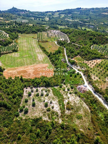 Αγροτεμάχια 4.440 τ.μ. προς πώληση, Πευκοχώρι
