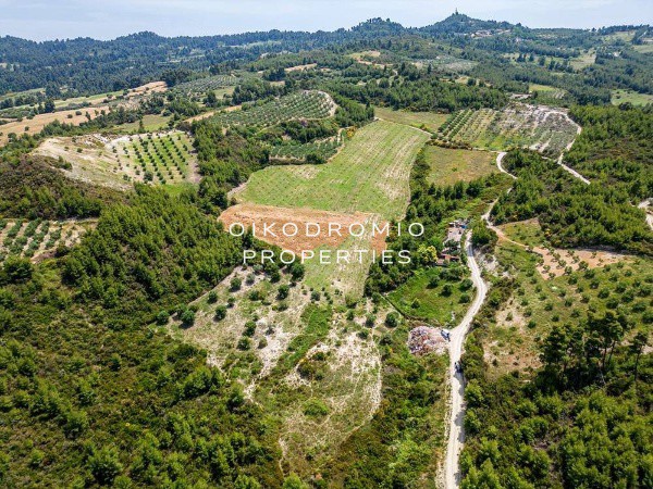 Αγροτεμάχια 4.440 τ.μ. προς πώληση, Πευκοχώρι